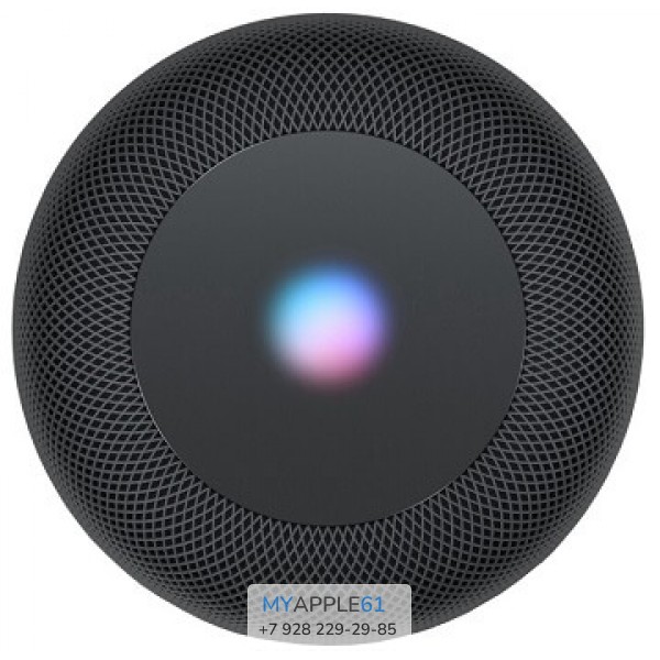 HomePod Space Gray