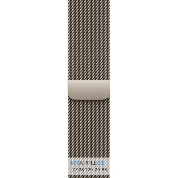 Apple Watch Series 12 42 mm Natural Titanium