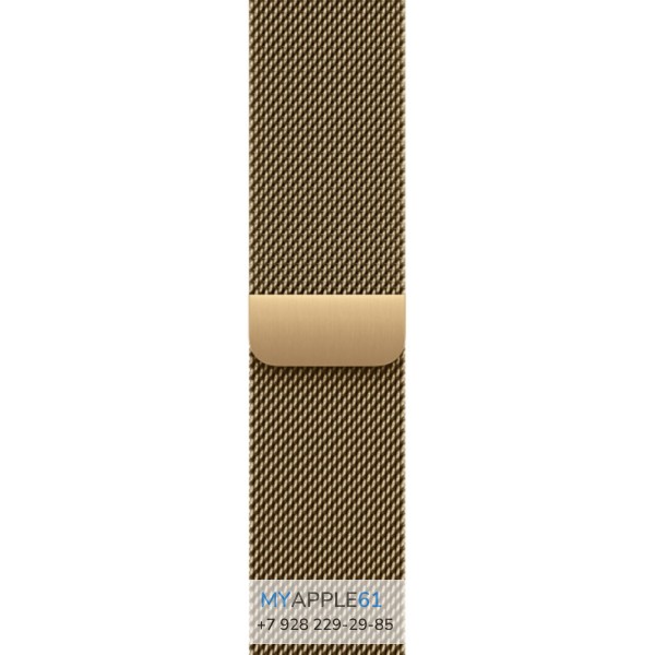 Apple Watch Series 12 42 mm Radiant Gold Titanium