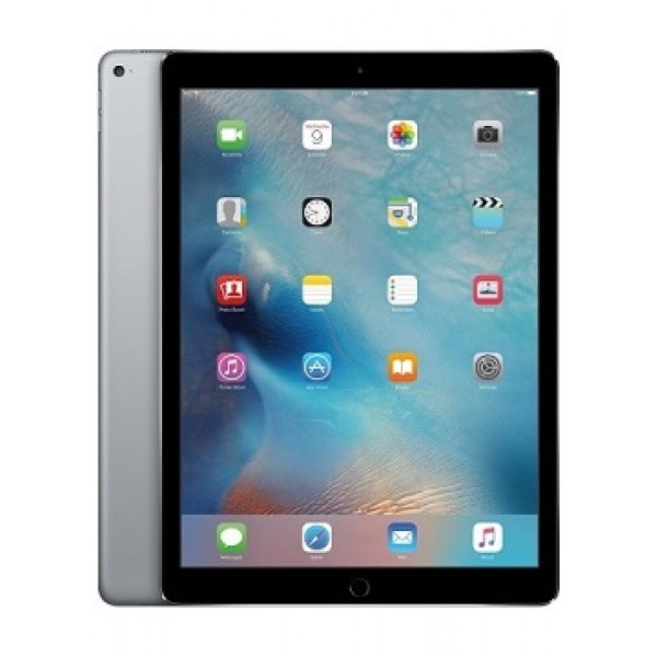 iPad Pro 12.9 Wi-Fi 512 Gb Space Gray